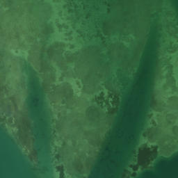 Satellite imagery of Bird Key Point, US