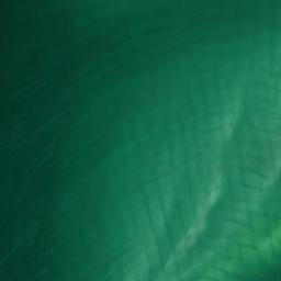Satellite imagery of Sarasota Point, US