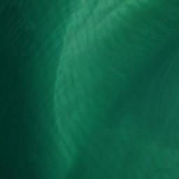 Satellite imagery of Sarasota Point, US