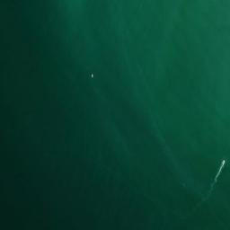 Satellite imagery of Sarasota Point, US