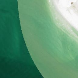 Satellite imagery of Sarasota Point, US