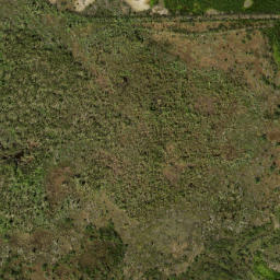 Satellite imagery of Cattle Dock Point, US