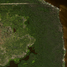 Satellite imagery of Cattle Dock Point, US