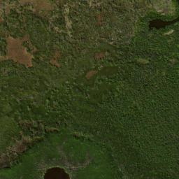 Satellite imagery of Cattle Dock Point, US