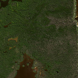 Satellite imagery of Cattle Dock Point, US