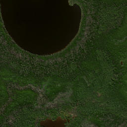 Satellite imagery of Mangrove Point, US