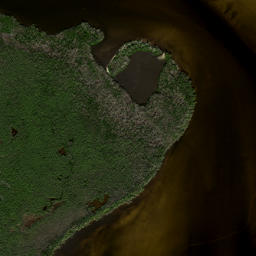 Satellite imagery of Mangrove Point, US