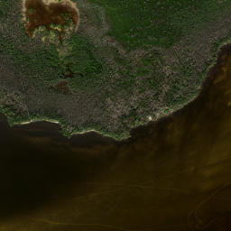 Satellite imagery of Mangrove Point, US