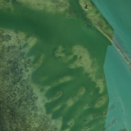 Satellite imagery of Cedar Point, US