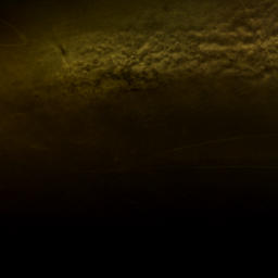 Satellite imagery of Shoal Point, US