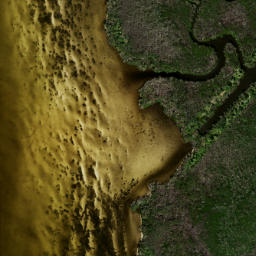 Satellite imagery of Mangrove Point, US