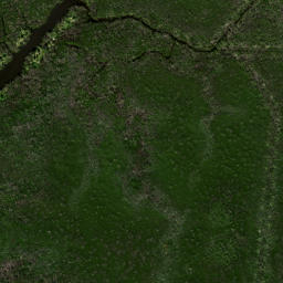 Satellite imagery of Mangrove Point, US