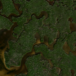 Satellite imagery of Cockroach Mound, US