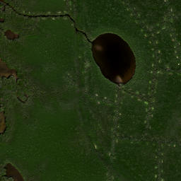 Satellite imagery of Cockroach Mound, US