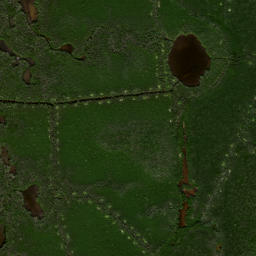 Satellite imagery of Cockroach Mound, US