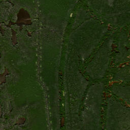 Satellite imagery of Cockroach Mound, US
