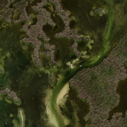 Satellite imagery of Catfish Point, US