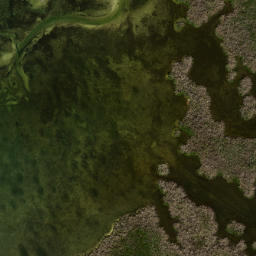 Satellite imagery of Catfish Point, US