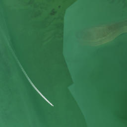 Satellite imagery of Catfish Point, US