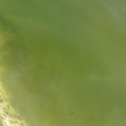 Satellite imagery of Jug Creek Point, US