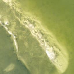 Satellite imagery of Jug Creek Point, US