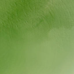 Satellite imagery of Murdock Point, US