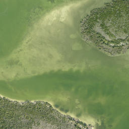 Satellite imagery of Primo Point, US