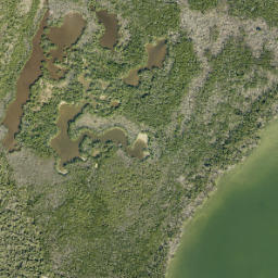 Satellite imagery of Primo Point, US