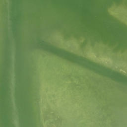 Satellite imagery of Punta Blanca, US