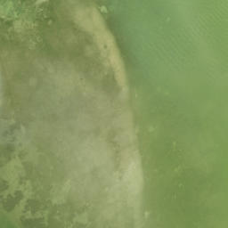 Satellite imagery of Pejuan Point, US
