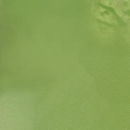 Satellite imagery of Pejuan Point, US