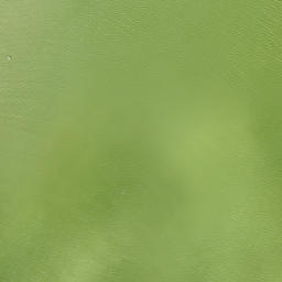 Satellite imagery of Pejuan Point, US