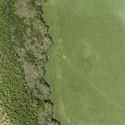 Satellite imagery of Foster Point, US