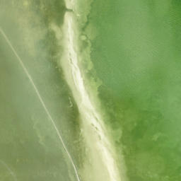 Satellite imagery of Foster Point, US