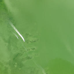 Satellite imagery of Foster Point, US