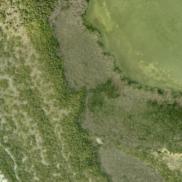 Satellite imagery of Foster Point, US