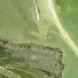 Satellite imagery of Foster Point, US