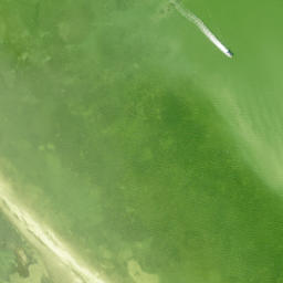 Satellite imagery of Foster Point, US