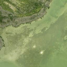 Satellite imagery of Foster Point, US