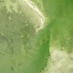 Satellite imagery of Foster Point, US