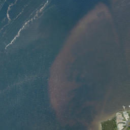 Satellite imagery of Negro Head, US