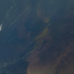Satellite imagery of Palmetto Point, US