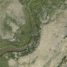 Satellite imagery of Piney Point, US