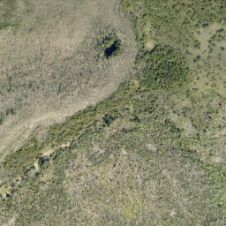 Satellite imagery of Piney Point, US