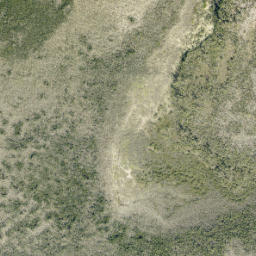 Satellite imagery of Piney Point, US