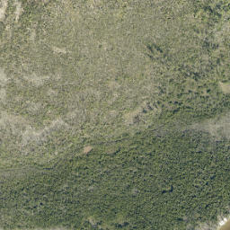 Satellite imagery of Piney Point, US