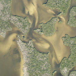 Satellite imagery of Sword Point, US