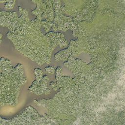 Satellite imagery of Sword Point, US