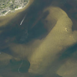 Satellite imagery of Cattle Dock Point, US