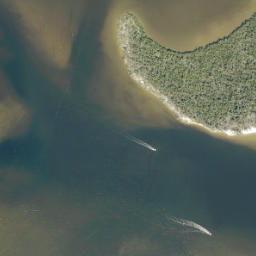 Satellite imagery of Cattle Dock Point, US